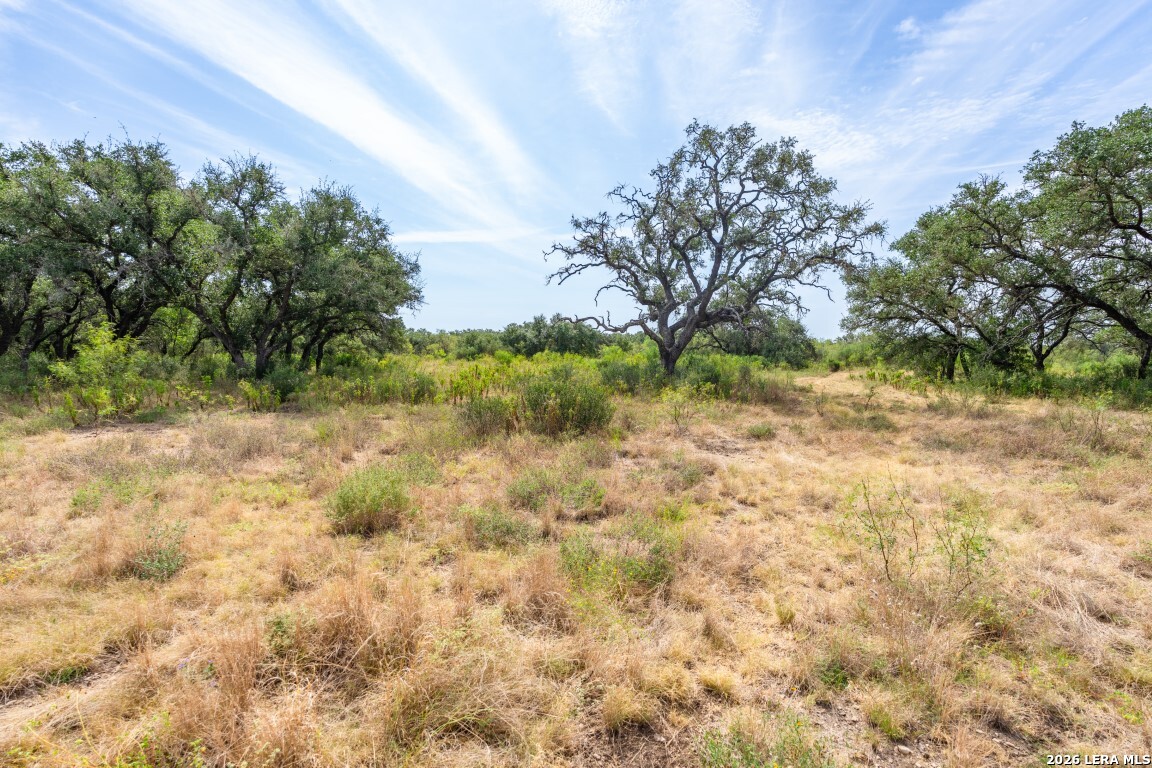 Lot 18 Utopia Forrest Dhanis TX 78850