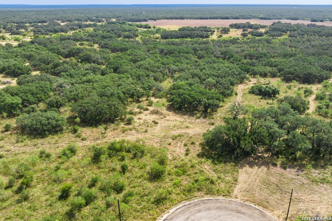 Lot 18 Utopia Forrest Dhanis TX 78850