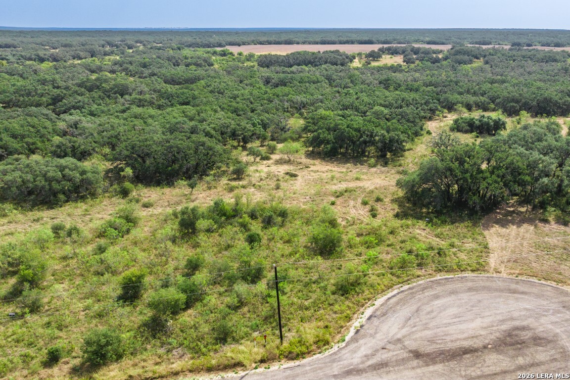 Lot 18 Utopia Forrest Dhanis TX 78850