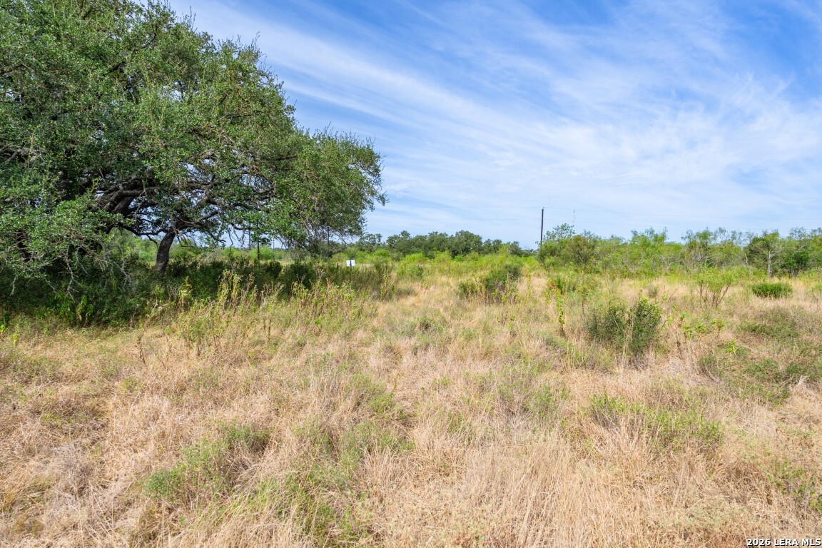 Lot 18 Utopia Forrest Dhanis TX 78850