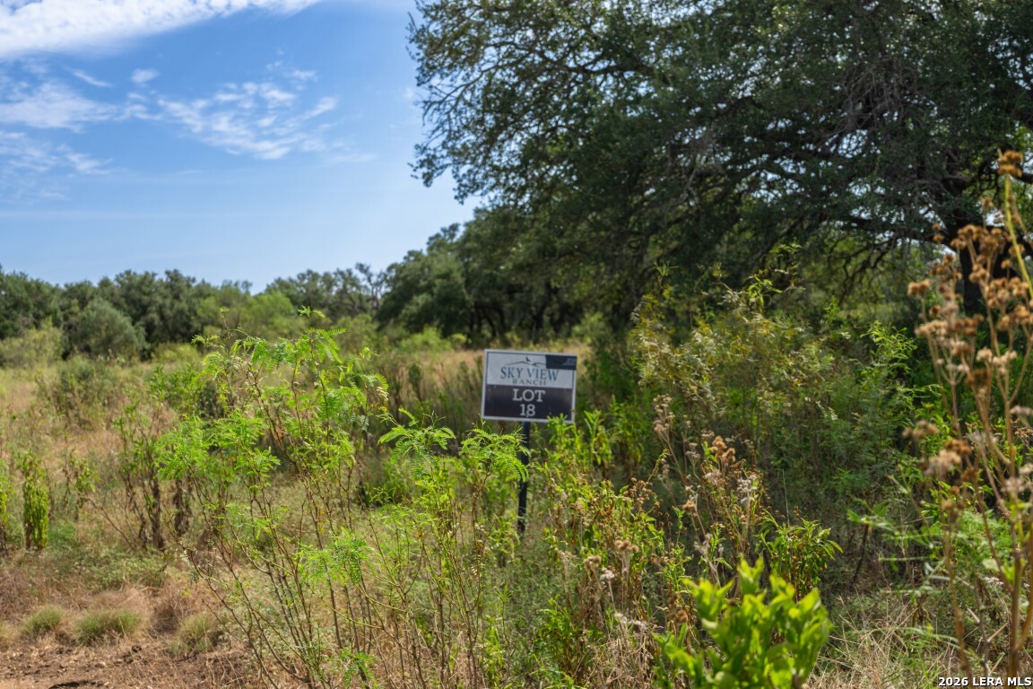 Lot 18 Utopia Forrest Dhanis TX 78850