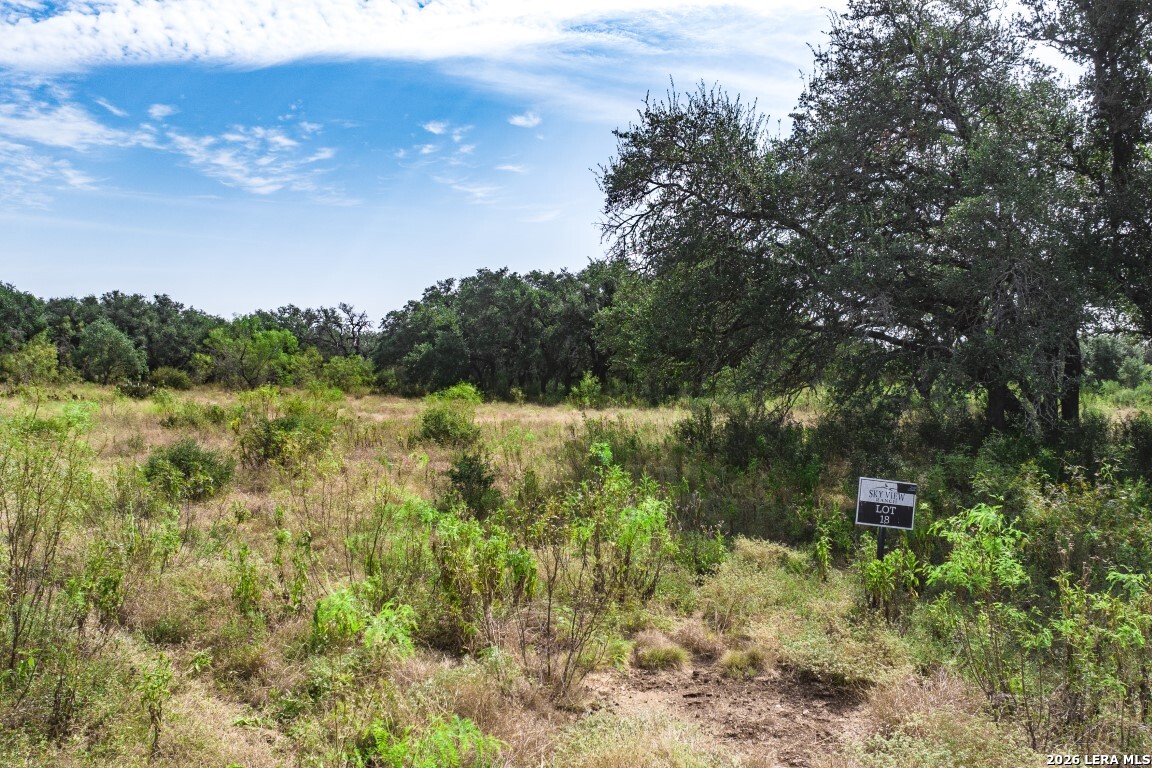 Lot 18 Utopia Forrest Dhanis TX 78850