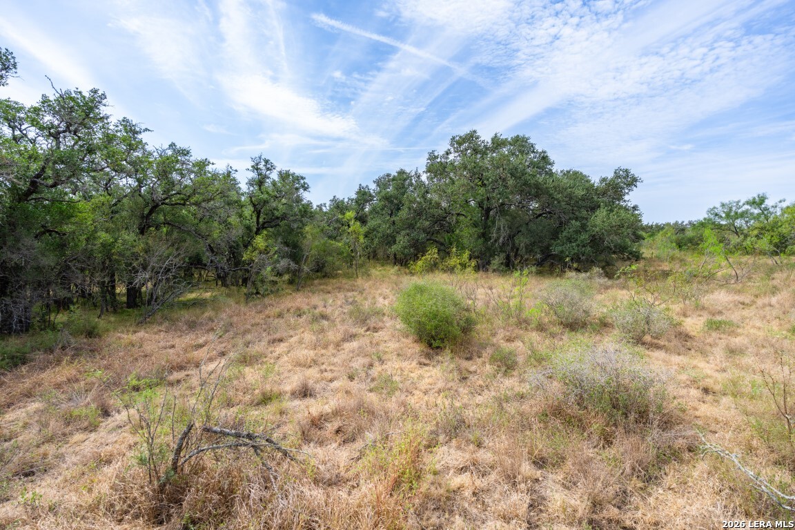 Lot 18 Utopia Forrest Dhanis TX 78850
