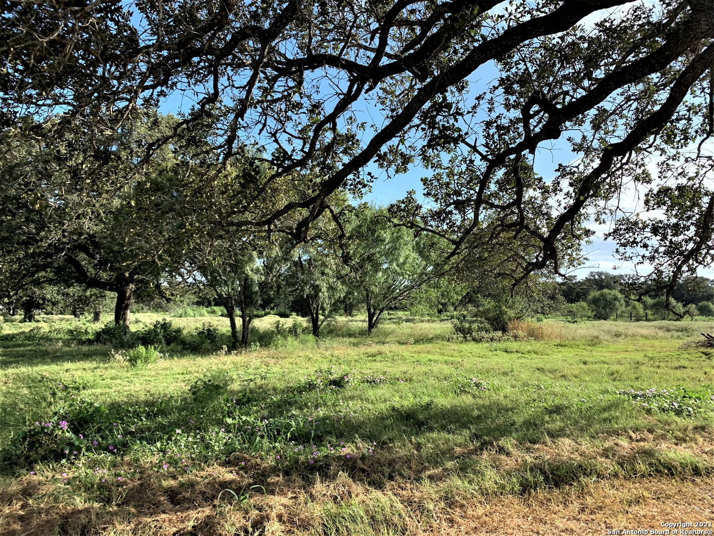4452 Sweet Home Road Seguin TX 78155