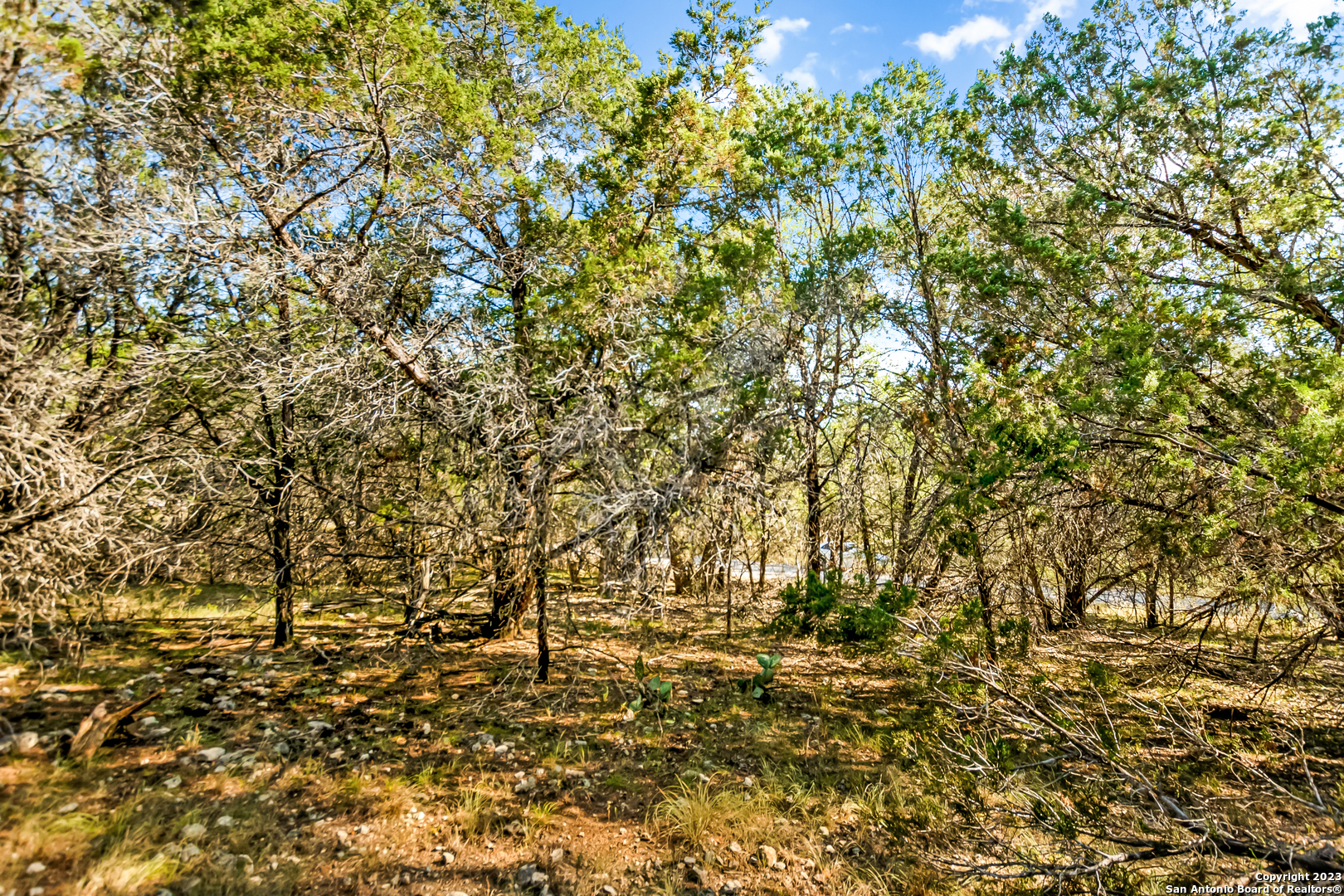 21801 O'neill Avenue Lago Vista TX 78645