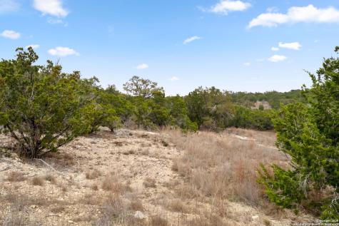 1770 Paradise Parkway Canyon Lake TX 78133