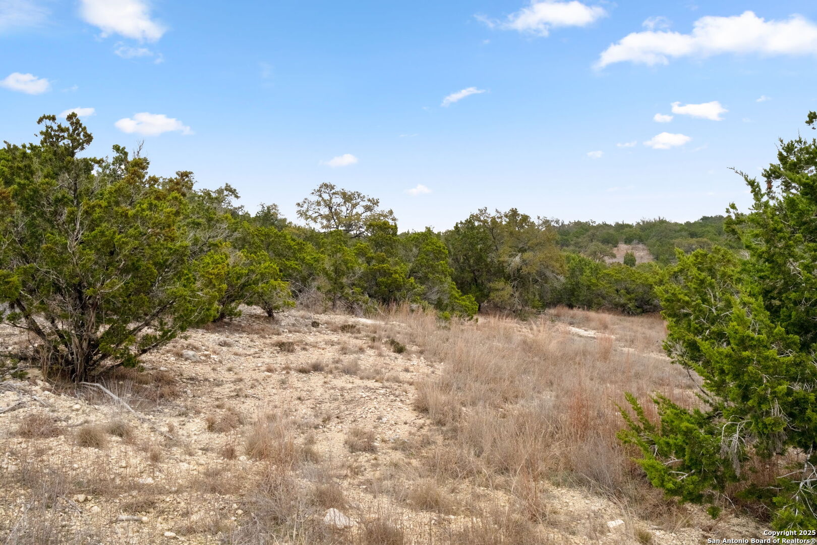 1770 Paradise Parkway Canyon Lake TX 78133