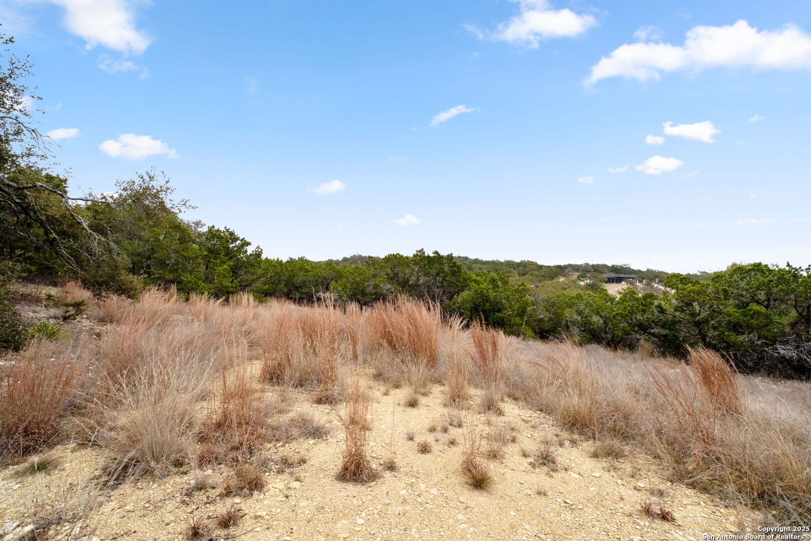 1770 Paradise Parkway Canyon Lake TX 78133
