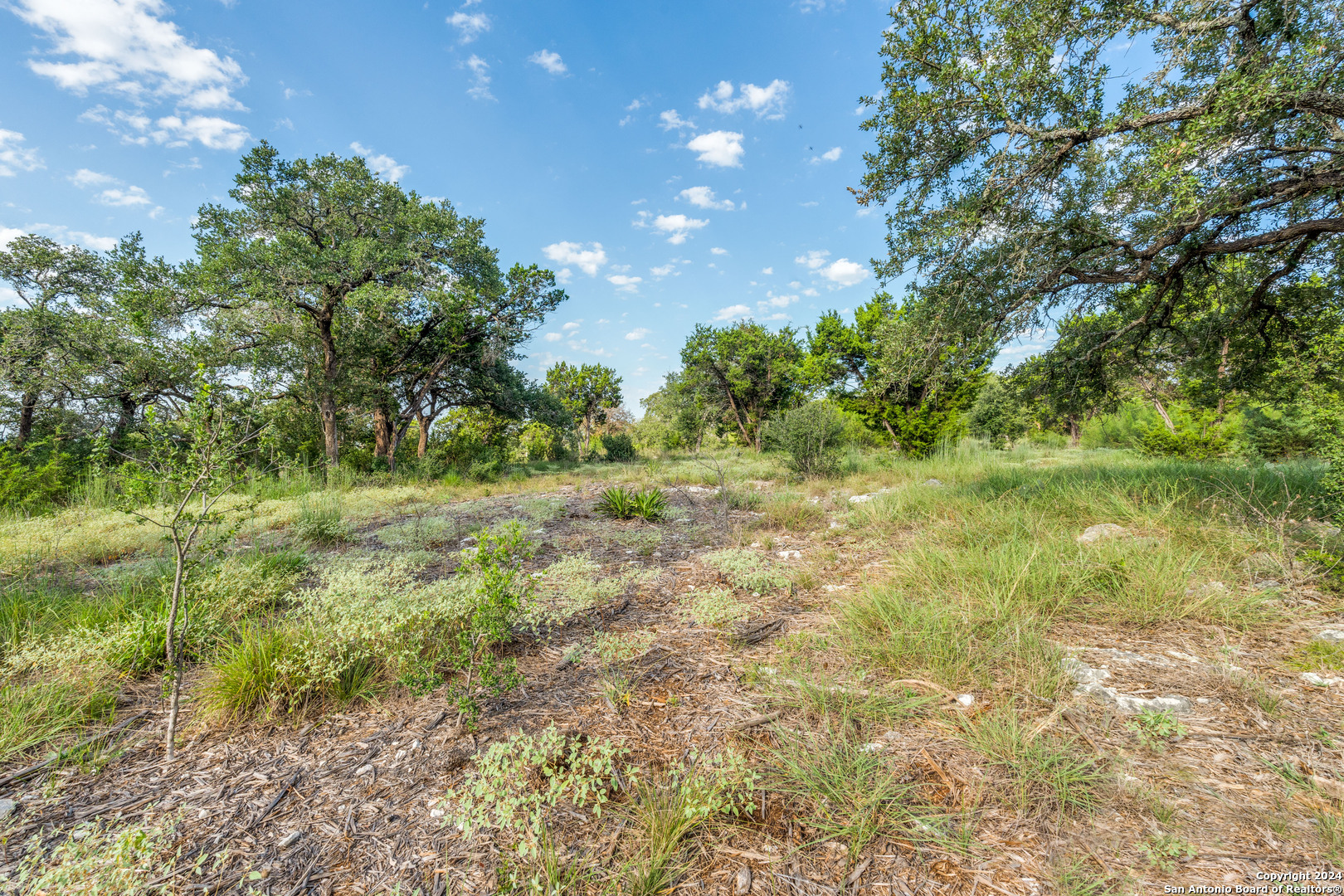 5889 Verden Ridge New Braunfels TX 78132