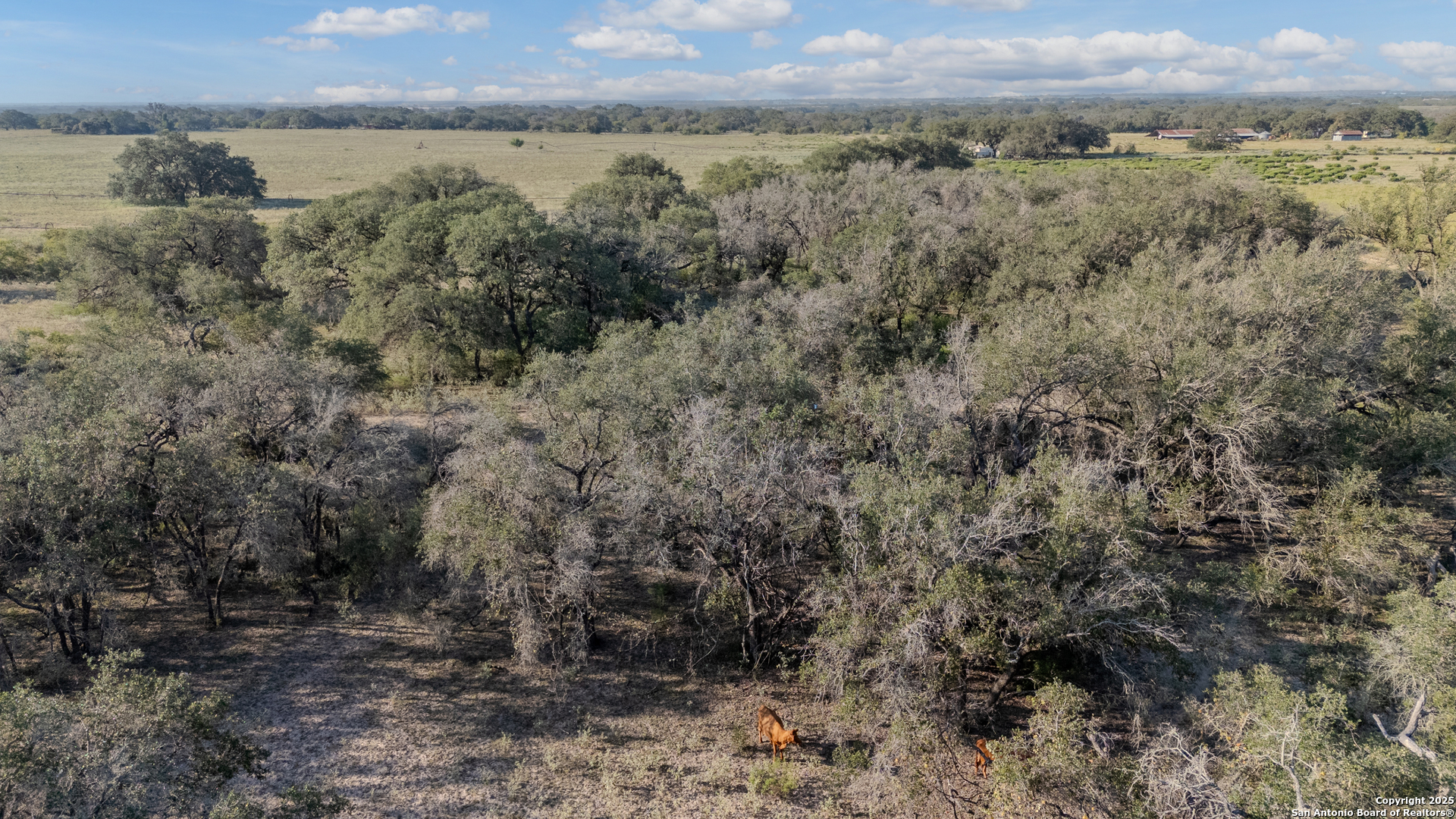 000 County Road 777 Devine TX 78016