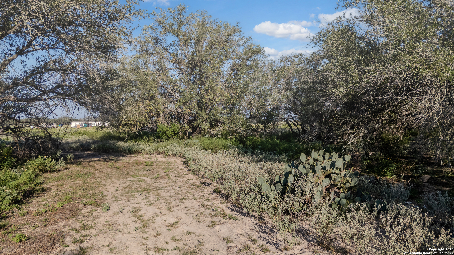 000 County Road 777 Devine TX 78016