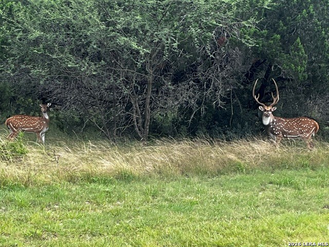 0000 Ridge Loop Leakey TX 78873