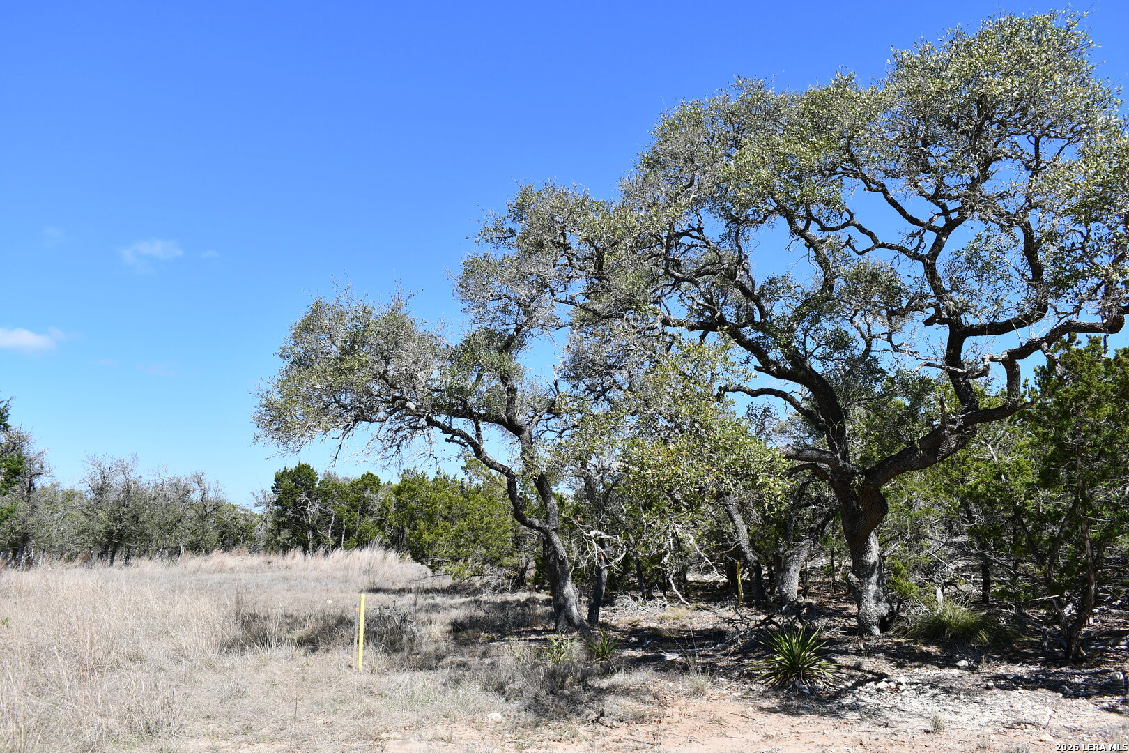 Lot 12 Hawkeye Lane Boerne TX 78006