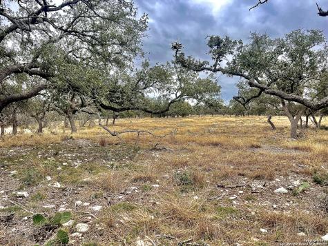 Lot 8 Cattlemans Crossing Kerrville TX 78028