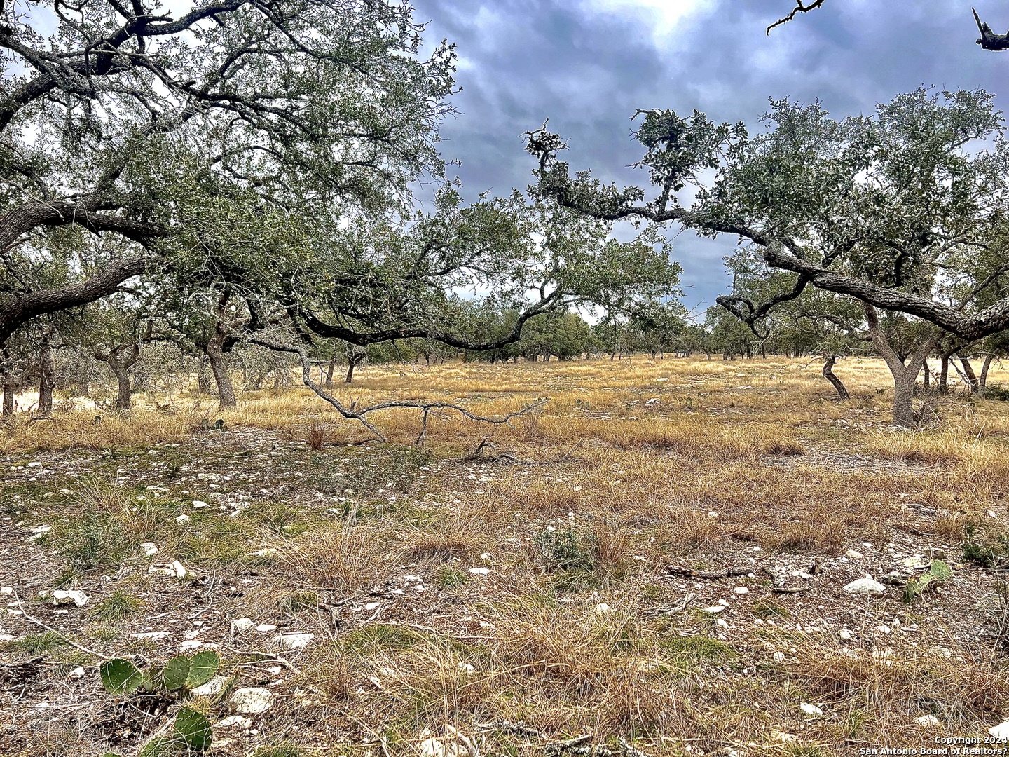 Lot 8 Cattlemans Crossing Kerrville TX 78028