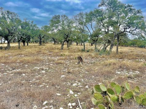 Lot 8 Cattlemans Crossing Kerrville TX 78028