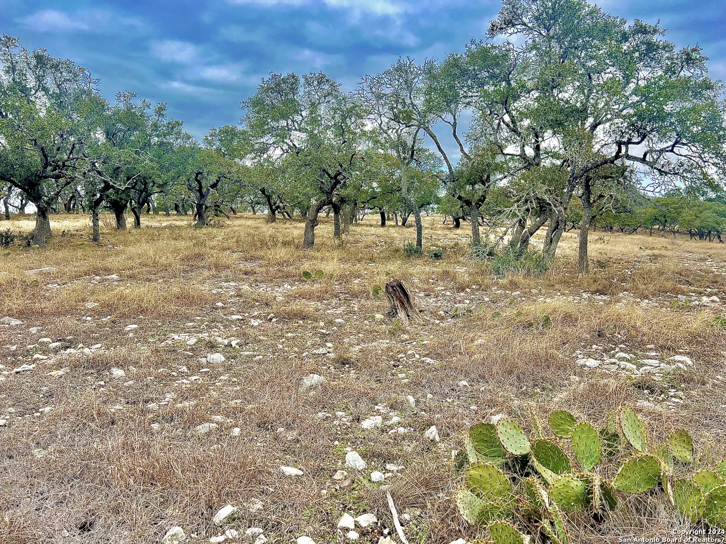 Lot 8 Cattlemans Crossing Kerrville TX 78028