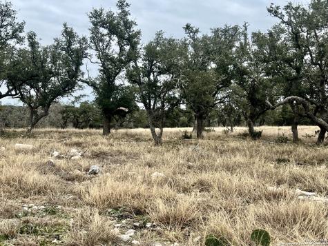 Lot 8 Cattlemans Crossing Kerrville TX 78028