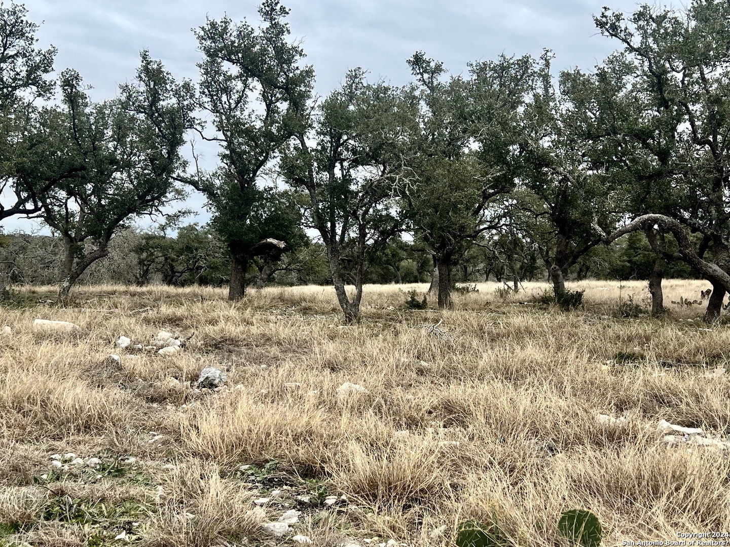 Lot 8 Cattlemans Crossing Kerrville TX 78028