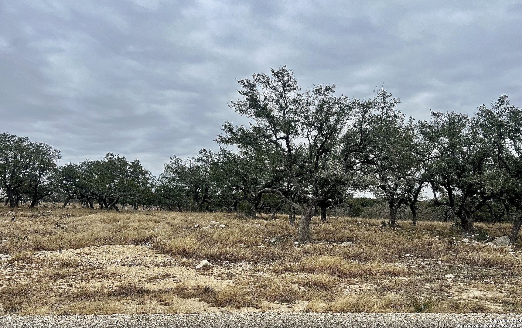 Lot 8 Cattlemans Crossing Kerrville TX 78028