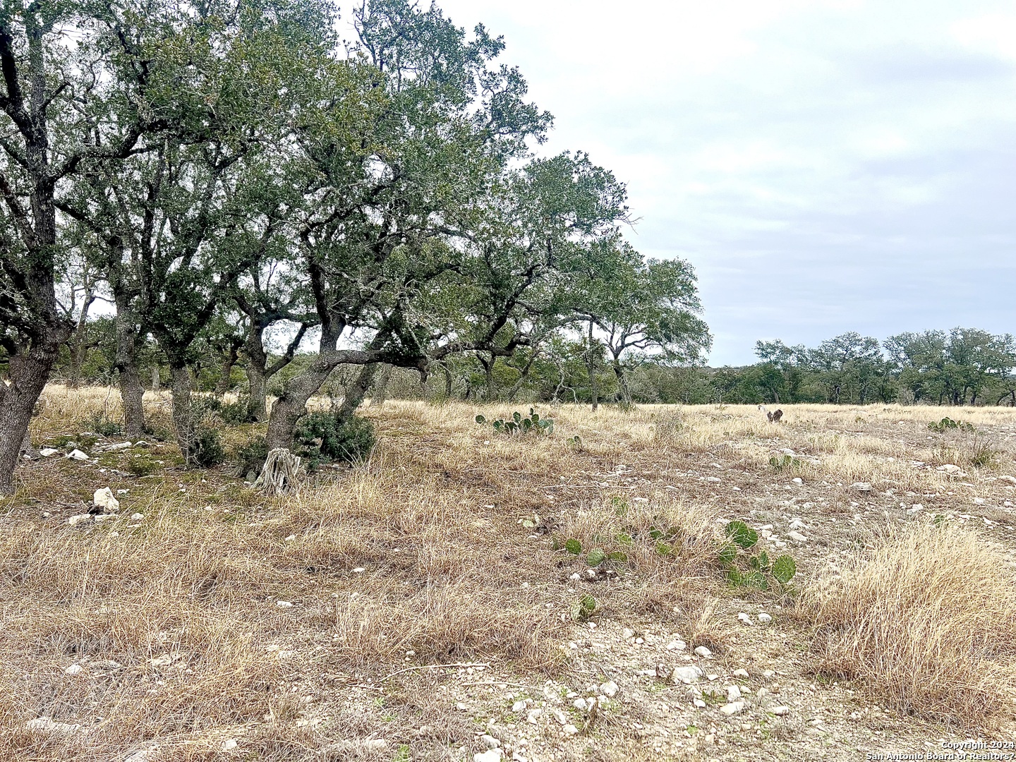 Lot 8 Cattlemans Crossing Kerrville TX 78028