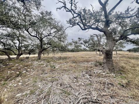 Lot 8 Cattlemans Crossing Kerrville TX 78028