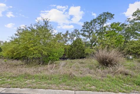 1324 Pinot Grigio New Braunfels TX 78132