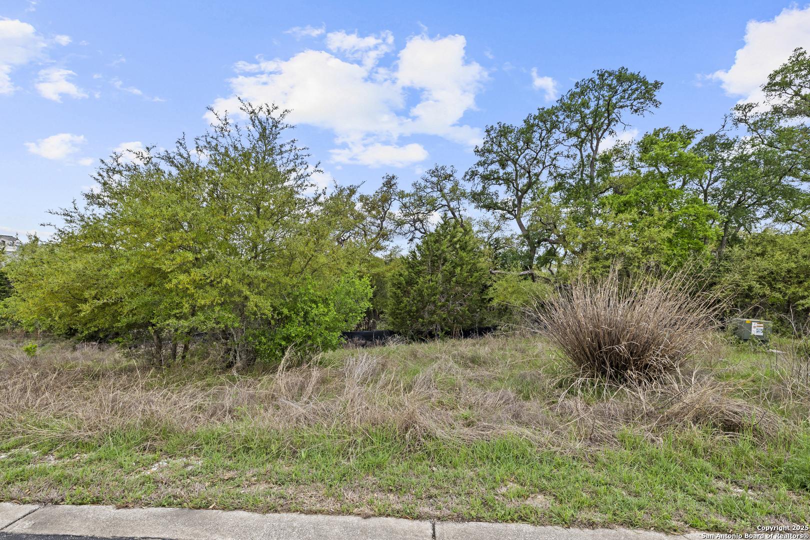 1324 Pinot Grigio New Braunfels TX 78132