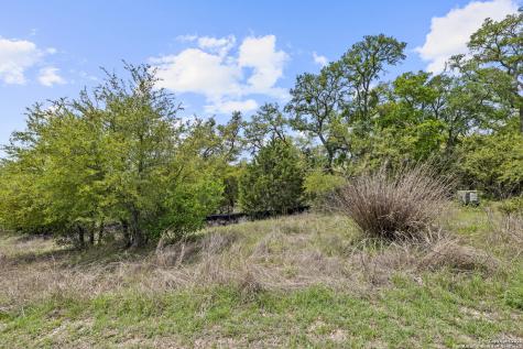 1324 Pinot Grigio New Braunfels TX 78132