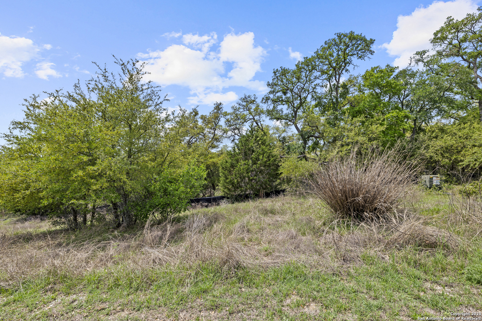 1324 Pinot Grigio New Braunfels TX 78132