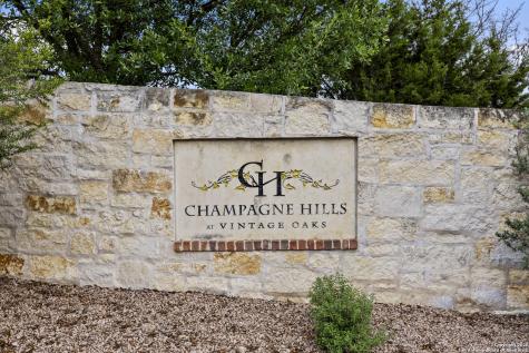 1324 Pinot Grigio New Braunfels TX 78132