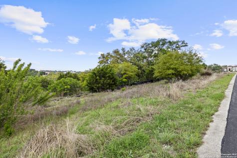 1324 Pinot Grigio New Braunfels TX 78132