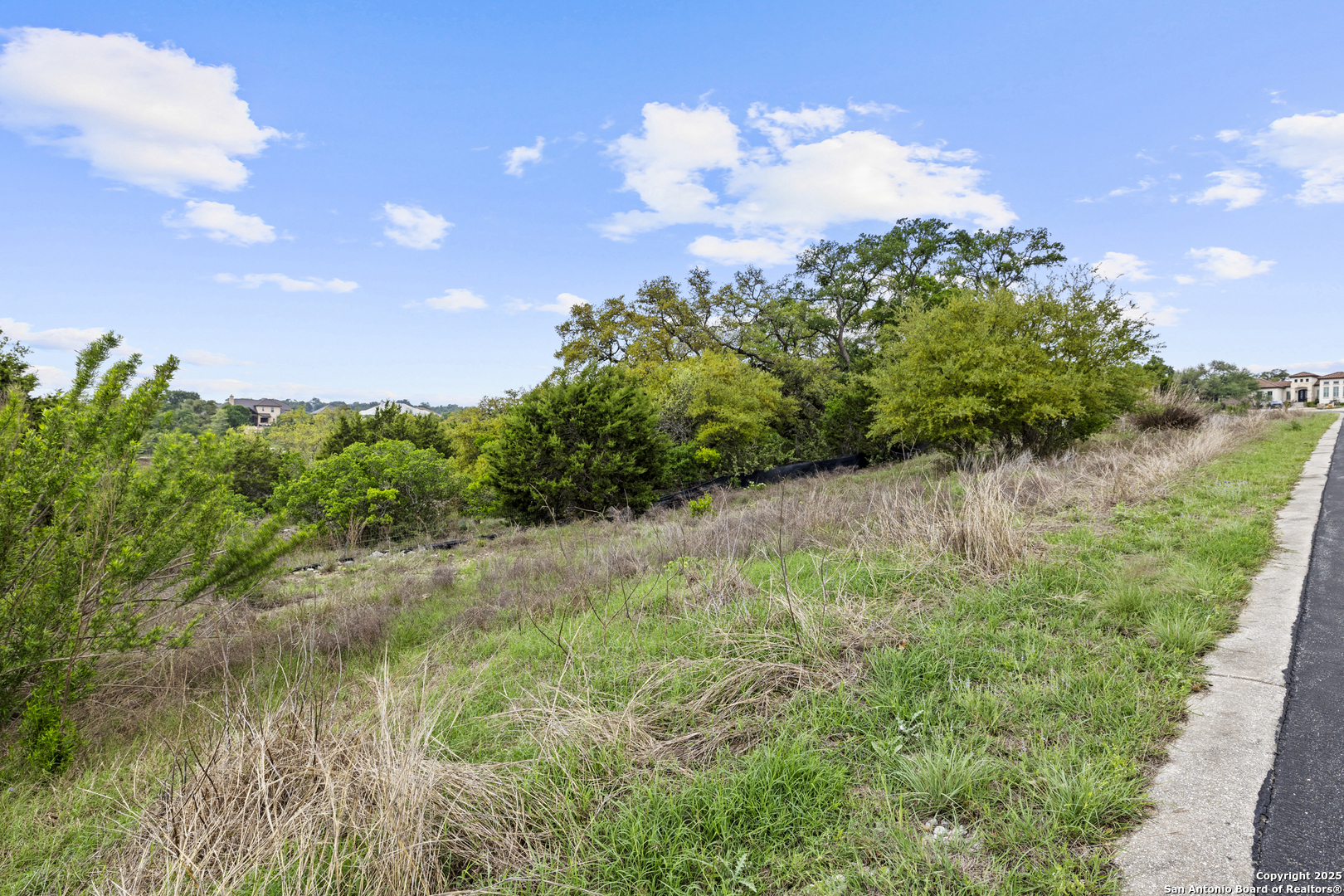 1324 Pinot Grigio New Braunfels TX 78132
