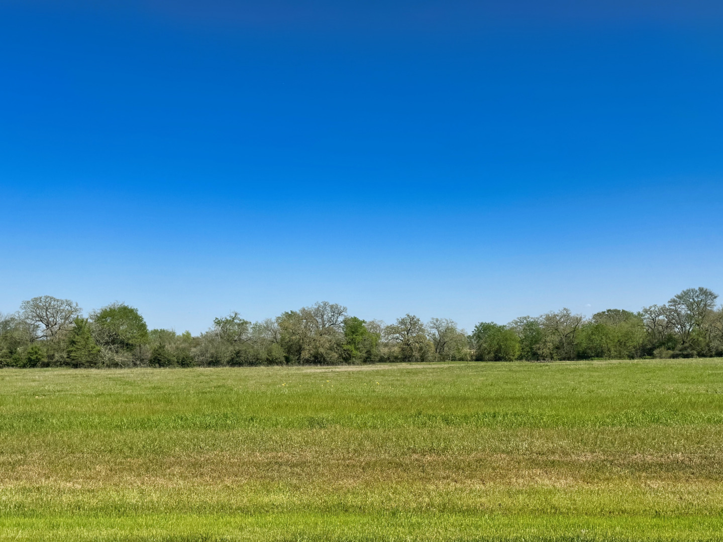 10146 Panther Creek Drive Iola TX 77861