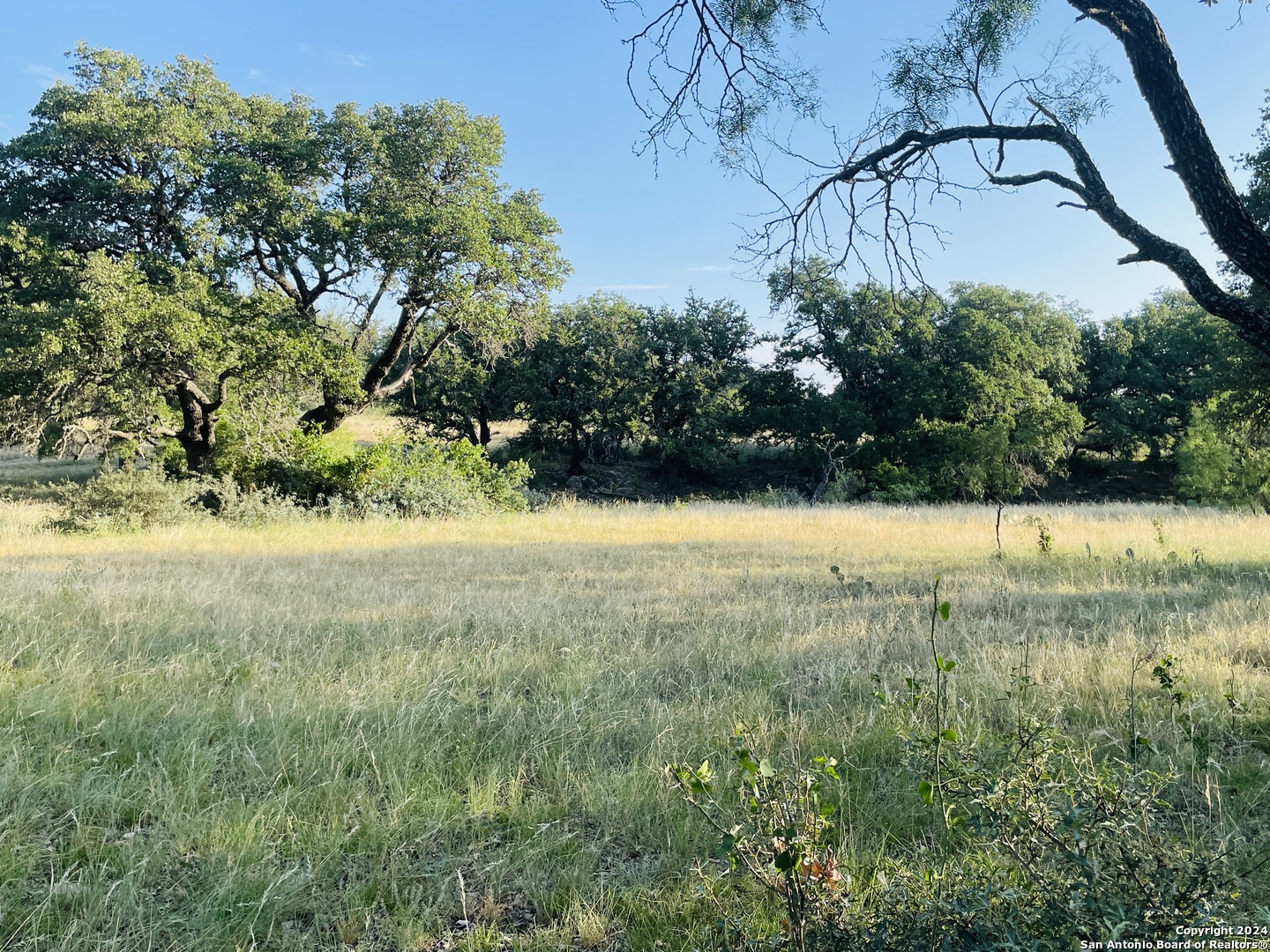 1542 Elm Springs Trail Menard TX 76859
