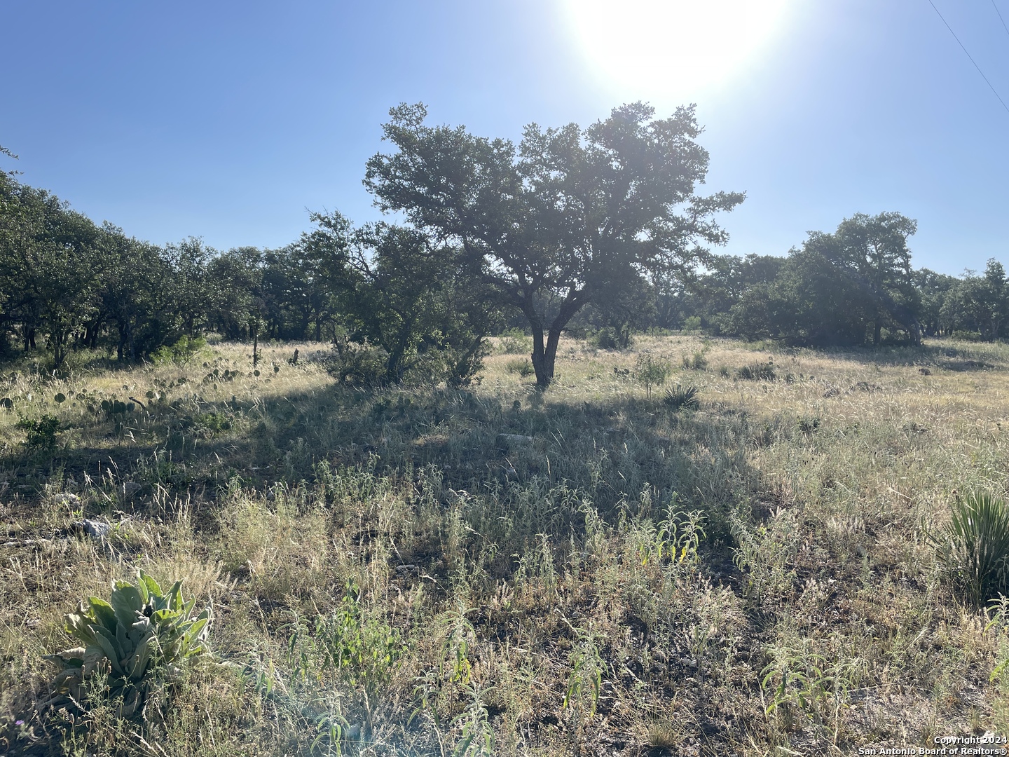 1542 Elm Springs Trail Menard TX 76859