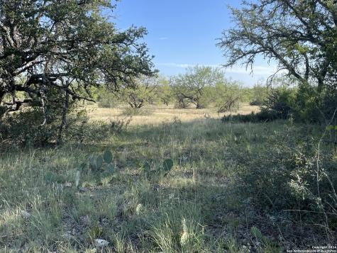 1542 Elm Springs Trail Menard TX 76859