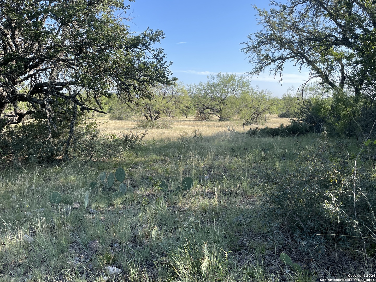 1542 Elm Springs Trail Menard TX 76859