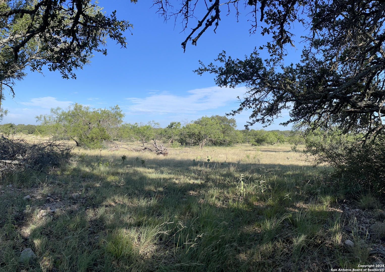 1542 Elm Springs Trail Menard TX 76859