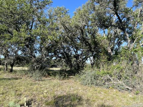 1542 Elm Springs Trail Menard TX 76859