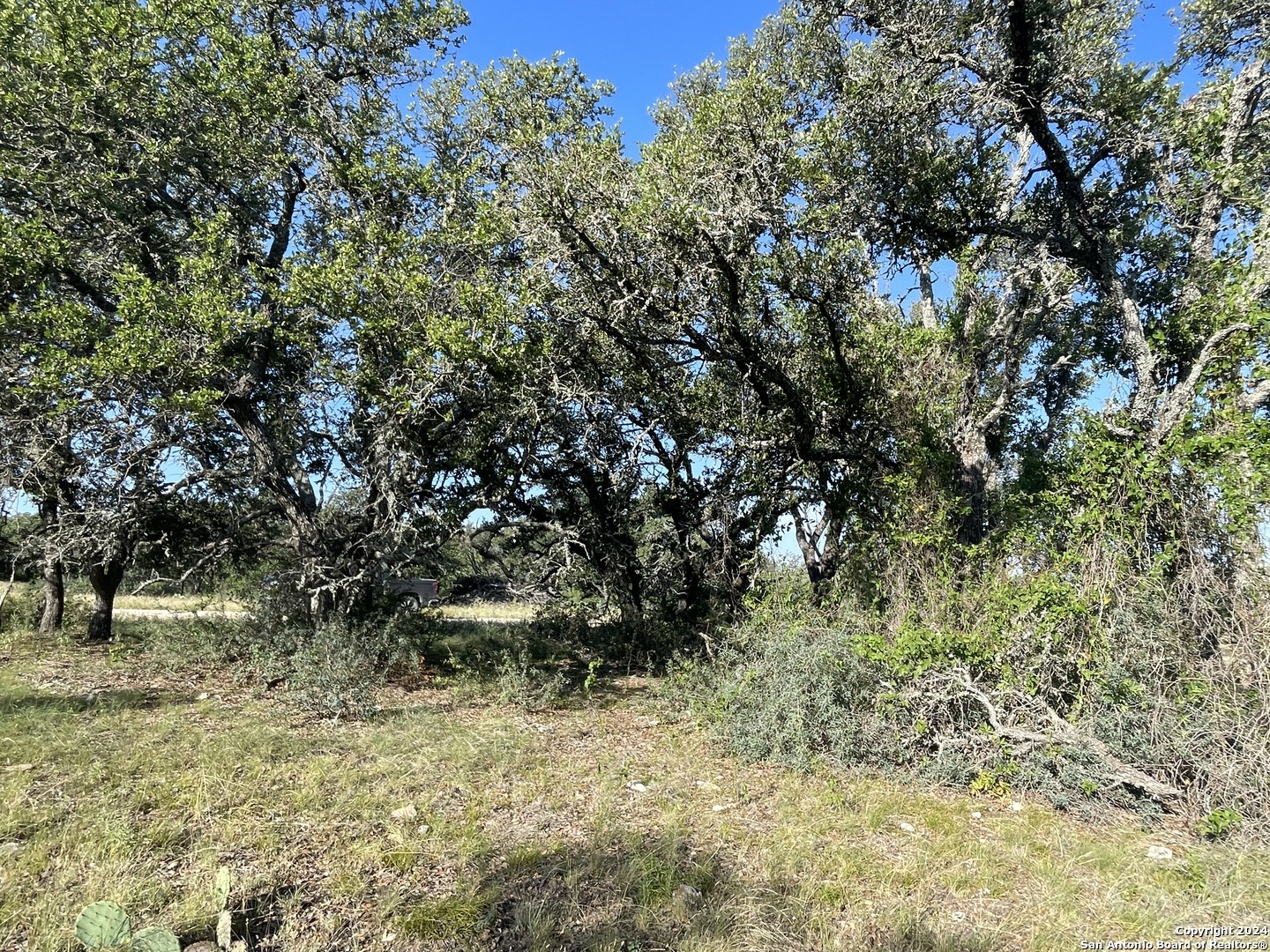 1542 Elm Springs Trail Menard TX 76859
