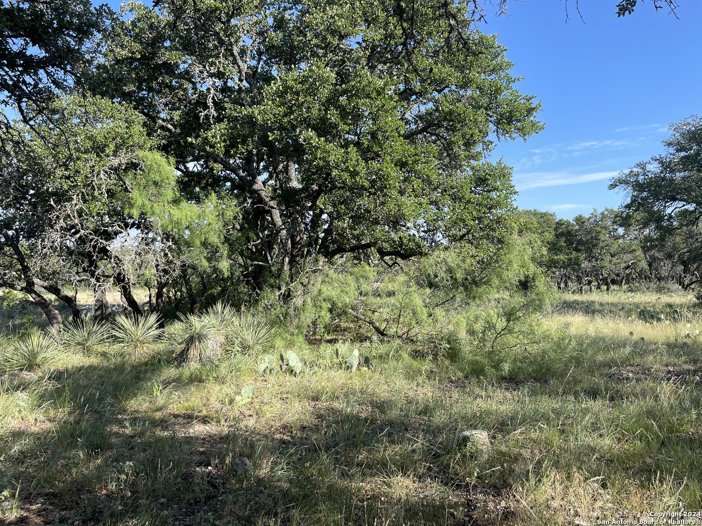 1542 Elm Springs Trail Menard TX 76859