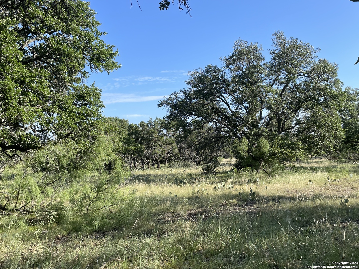 1542 Elm Springs Trail Menard TX 76859