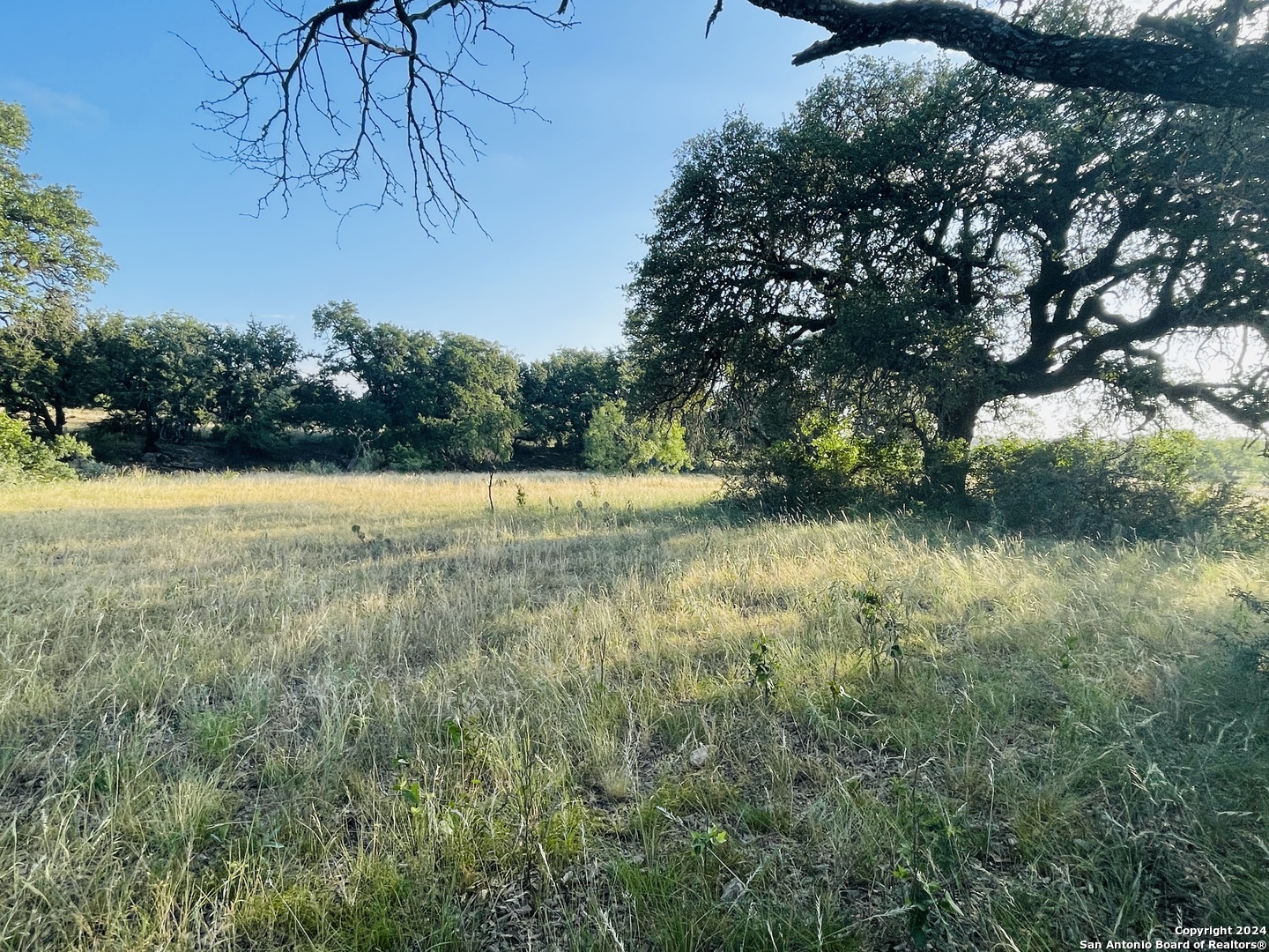 1542 Elm Springs Trail Menard TX 76859