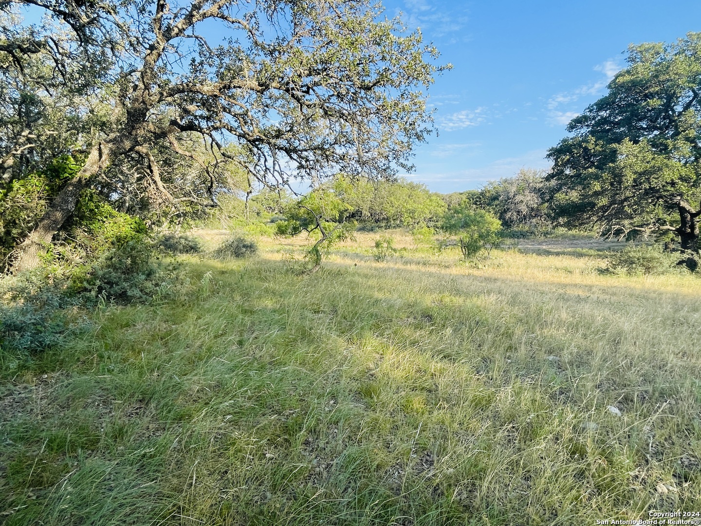 1542 Elm Springs Trail Menard TX 76859