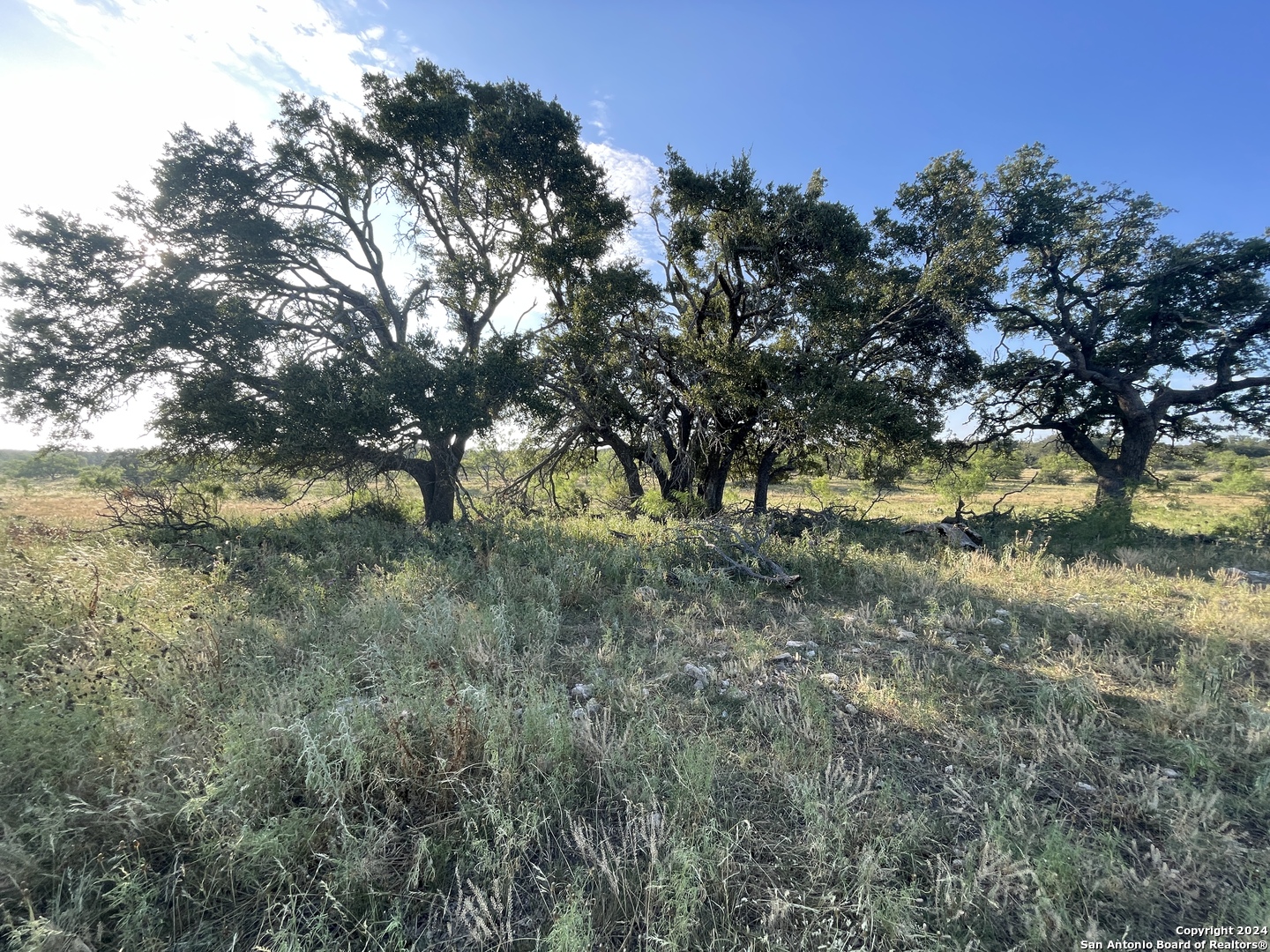 1542 Elm Springs Trail Menard TX 76859