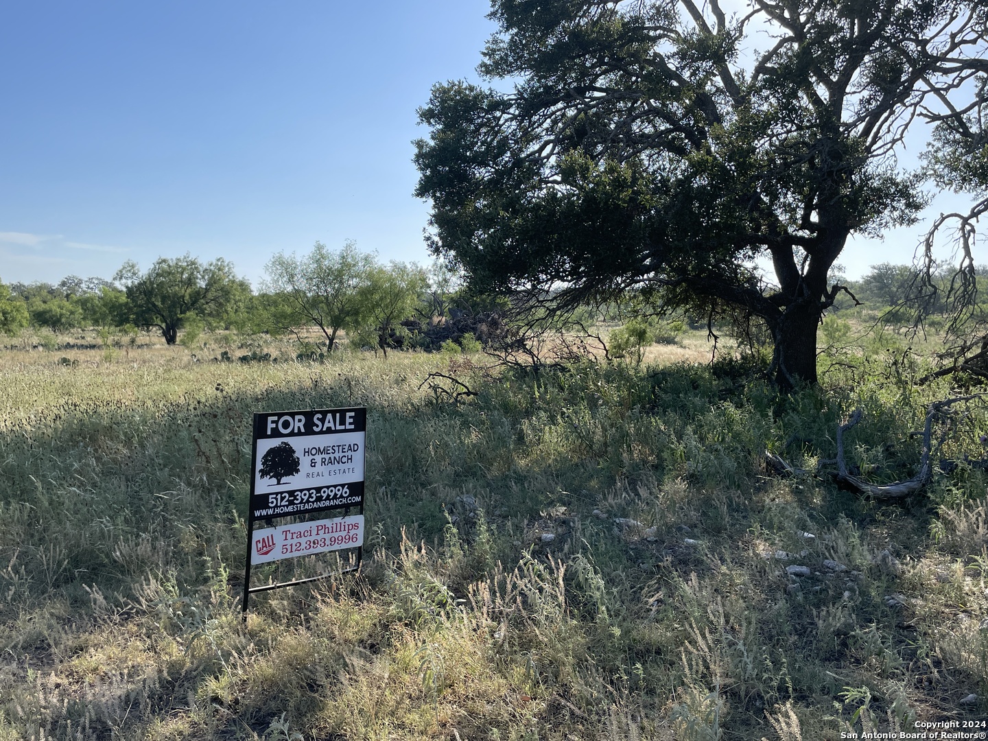1542 Elm Springs Trail Menard TX 76859