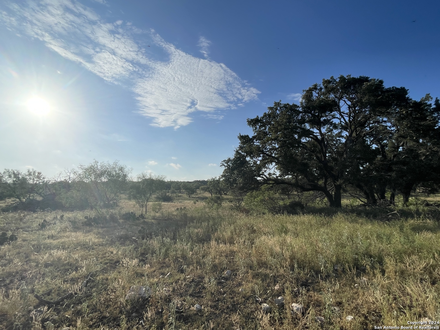 1542 Elm Springs Trail Menard TX 76859