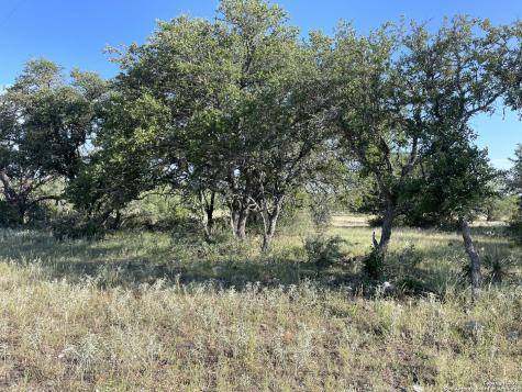 1542 Elm Springs Trail Menard TX 76859