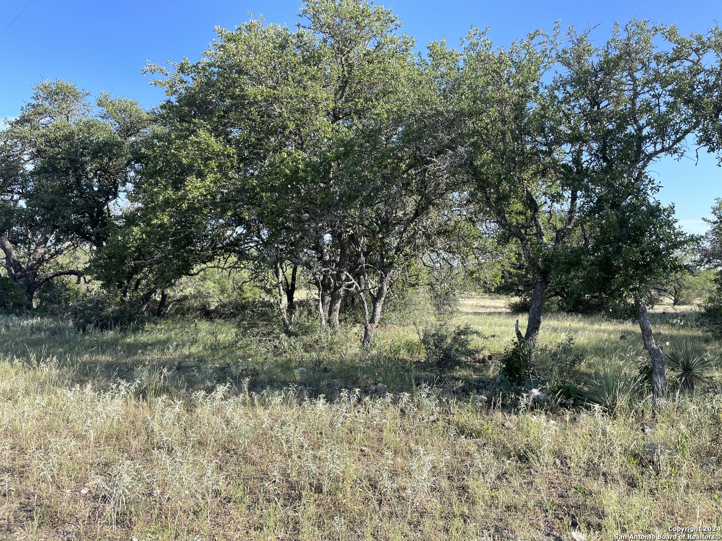 1542 Elm Springs Trail Menard TX 76859